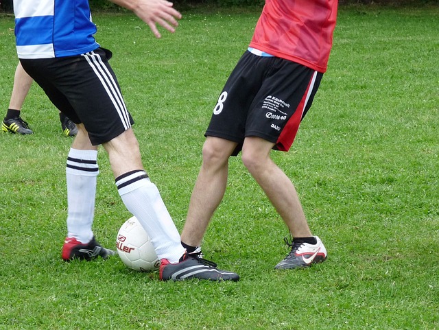 取多样化的 取多样化的