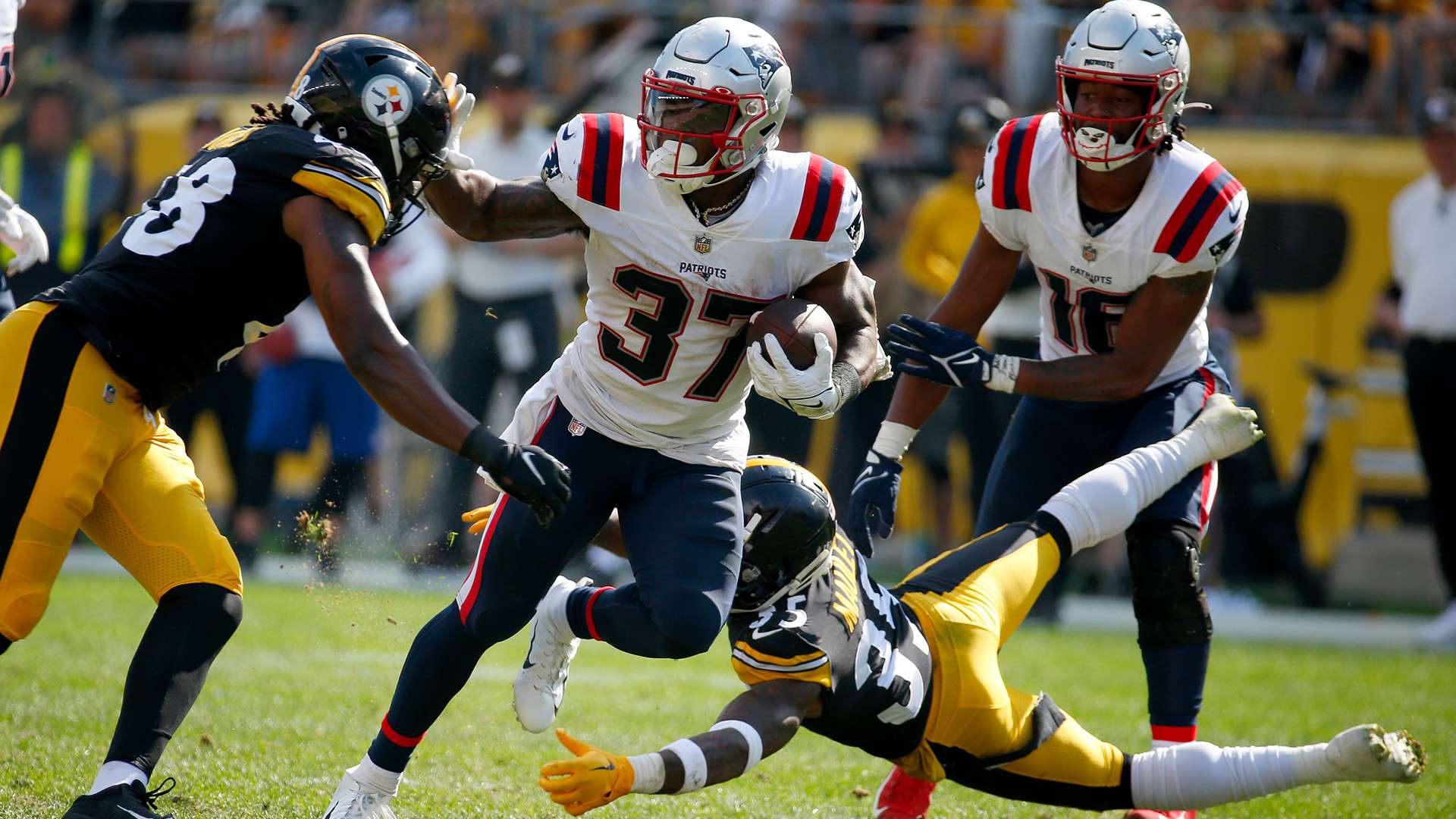 得辉煌表现 得辉煌表现