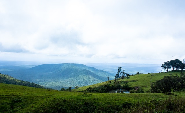 职业生涯突 职业生涯突